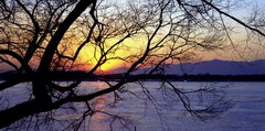 Back Lake