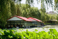 Lin Hu Xuan Restaurant