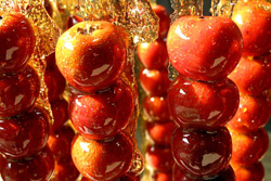 Sugar-Coated Haws on a stick (Bing Tang Hu Lu)
