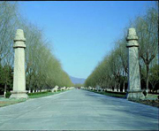 Wang Zhu