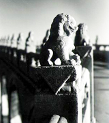 Stone Lion Culture