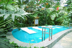 Feng Shan Hot Spring Resort