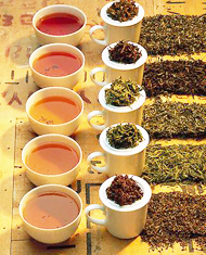 Tea
